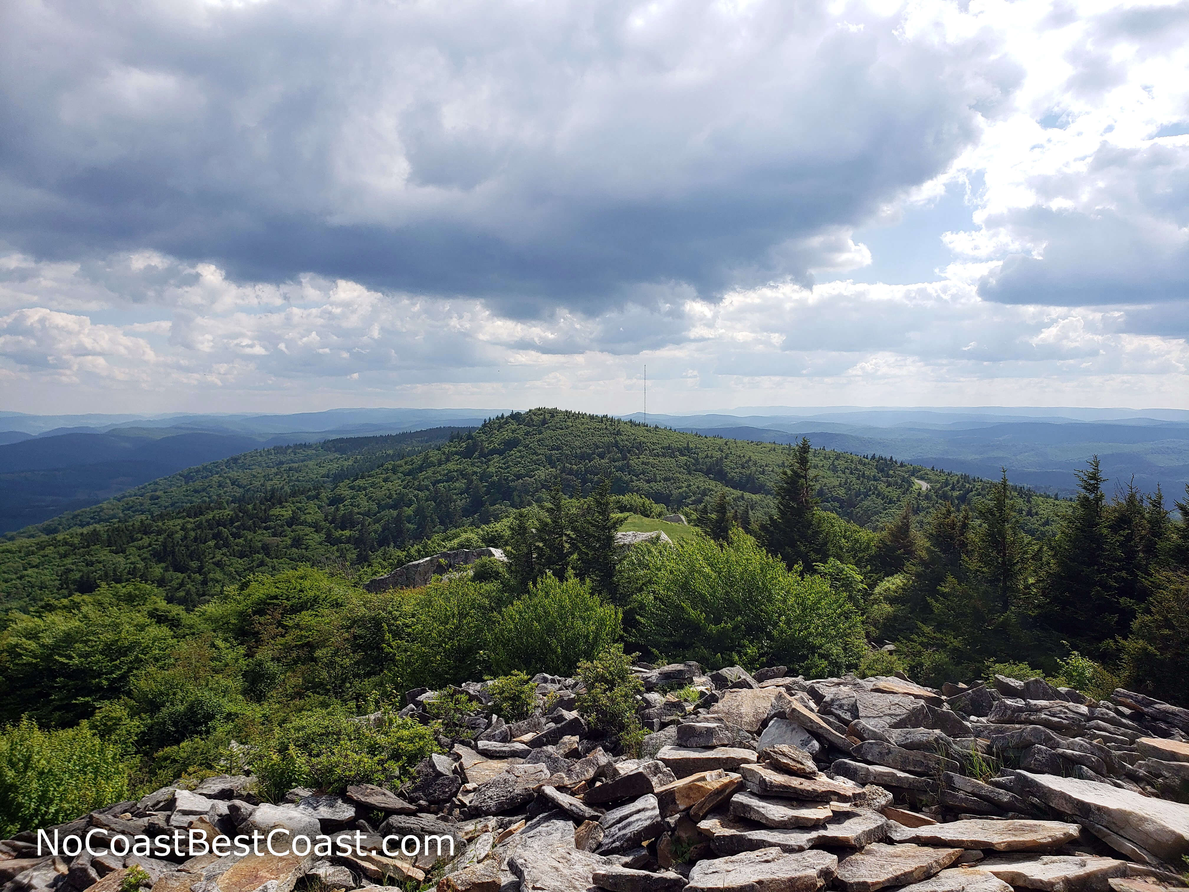 Windswept trees and jagged rocks on the summit of Spruce Knob