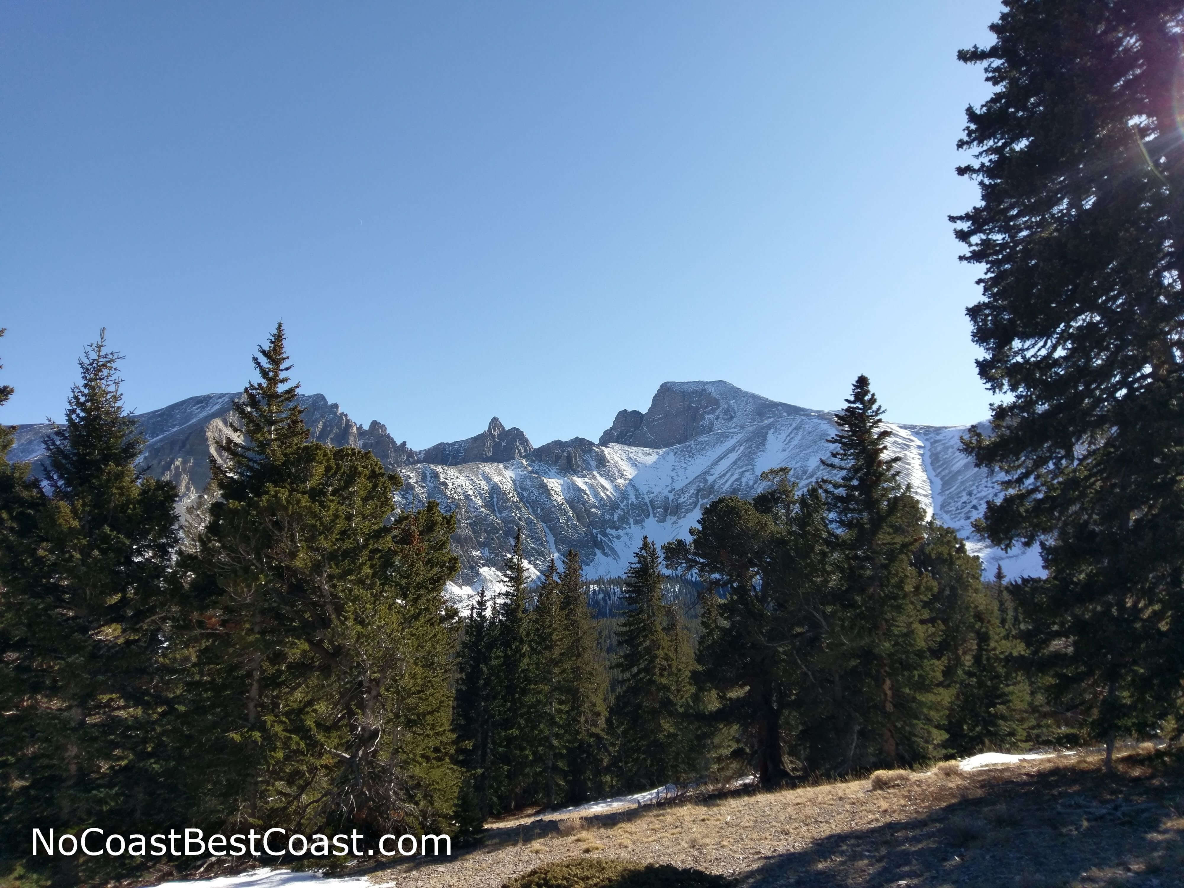 Snow-capped 13,000 foot Wheeler Peak towering over the pine forest