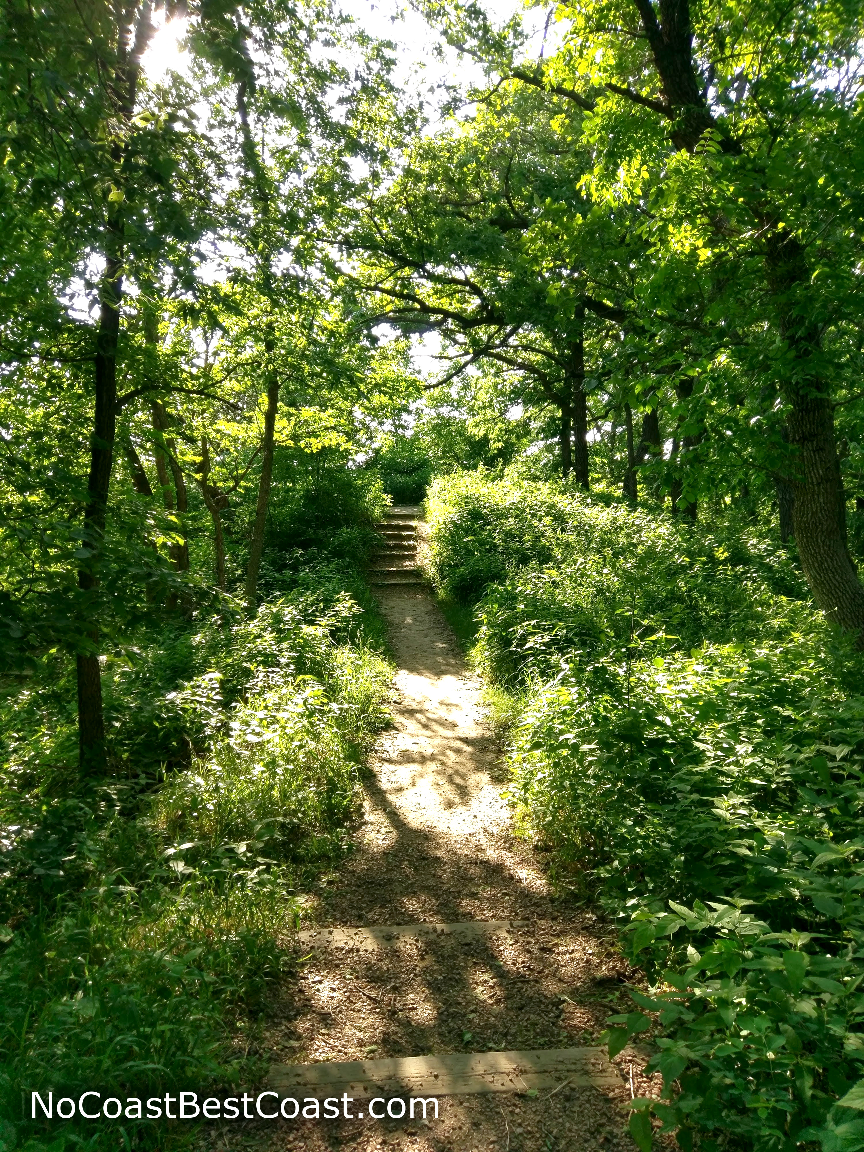 The shady trail with steps in the distance