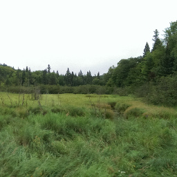 The marshlands on the Beaver Creek Trail
