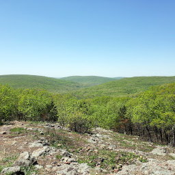 The rolling green Ozarks from a glade on the Mina Sauk Trail