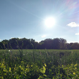 Afternoon sun shining over the landscape