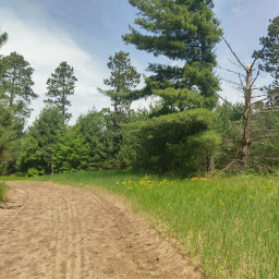 The sandy trail and pine forest of Uncas Dunes