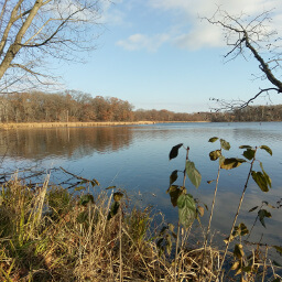 The view of Jensen Lake from the boardwalk