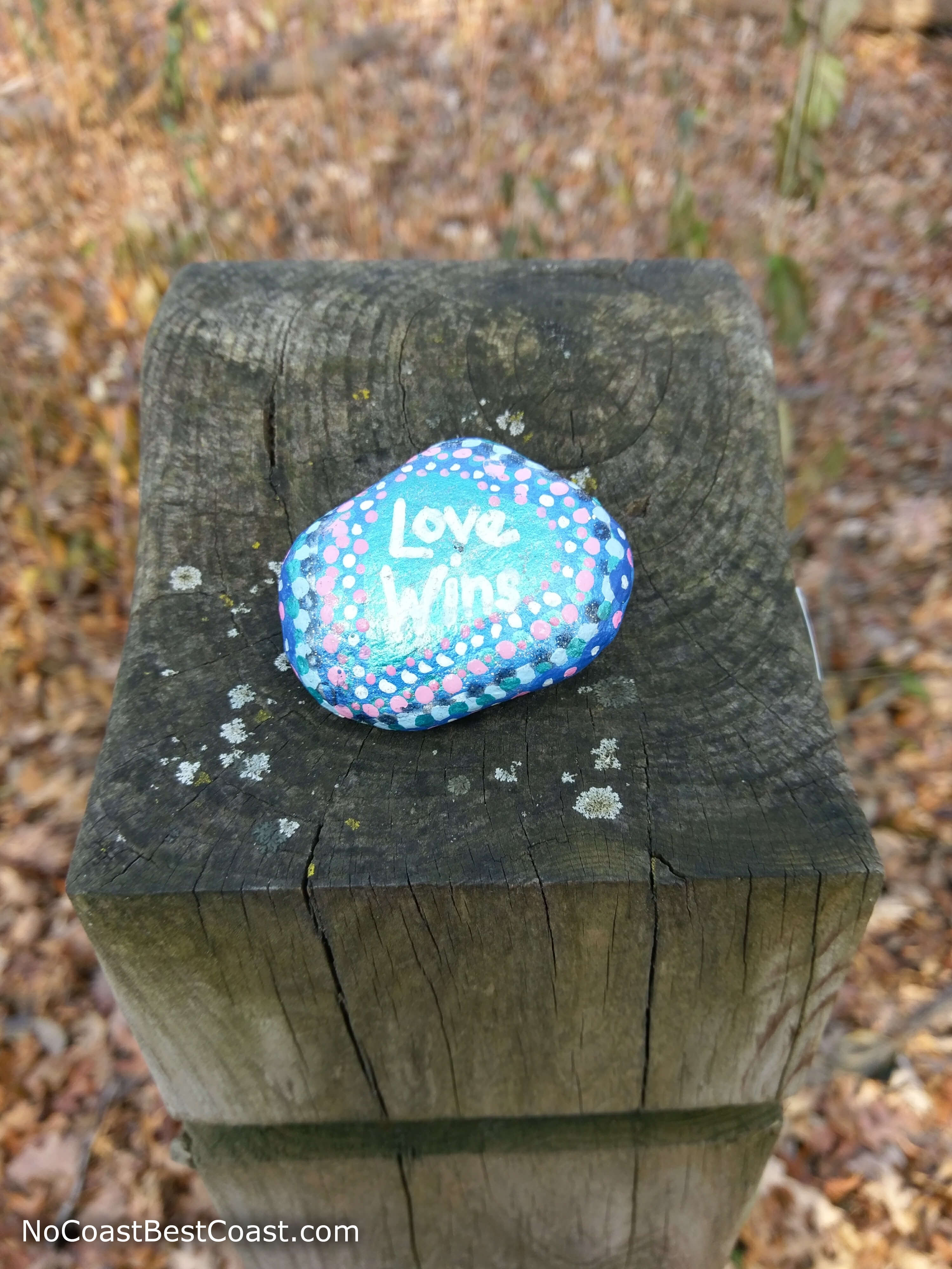A brightly painted rock left by another hiker