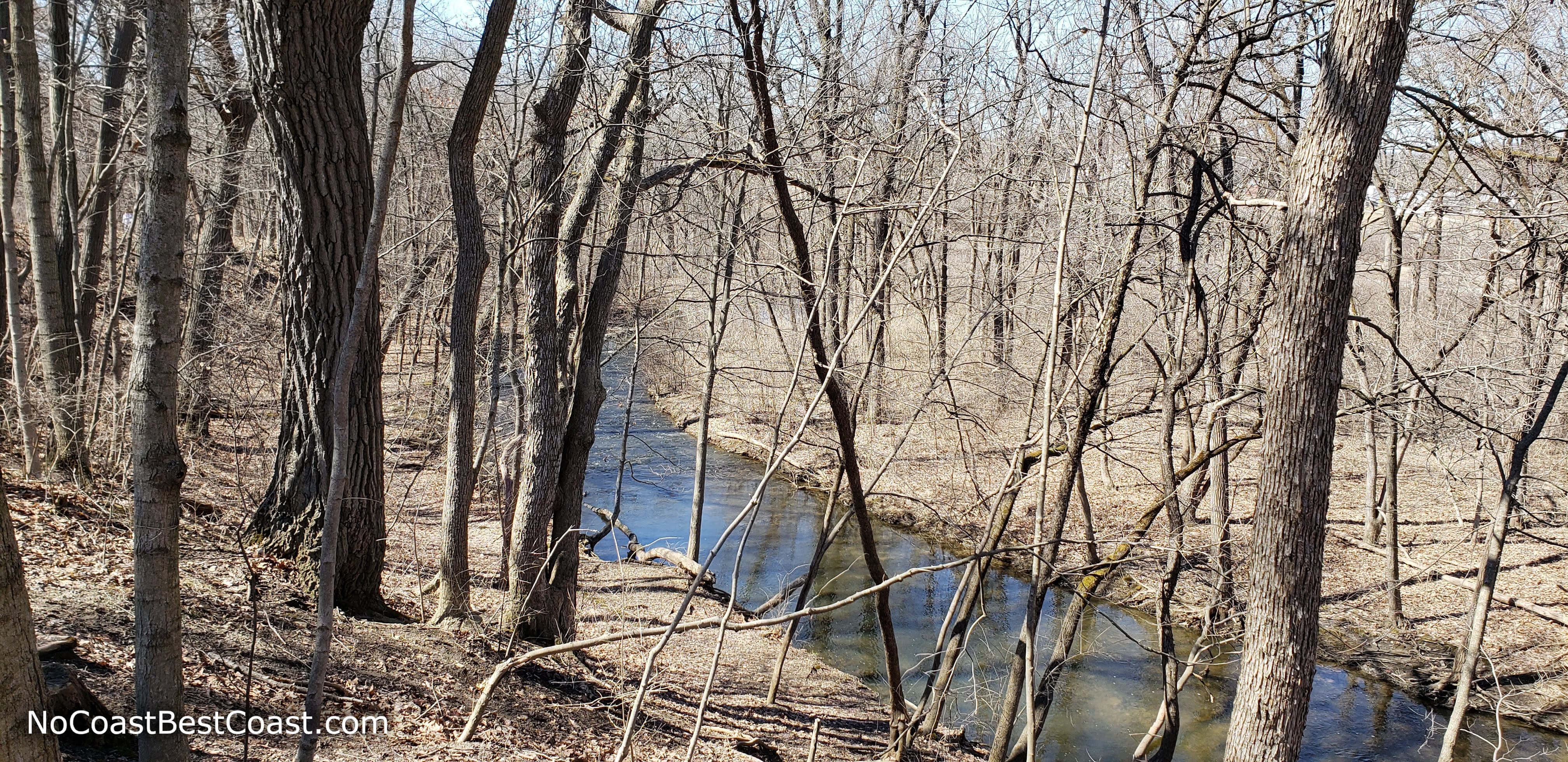 The curving Sawmill Creek through the trees