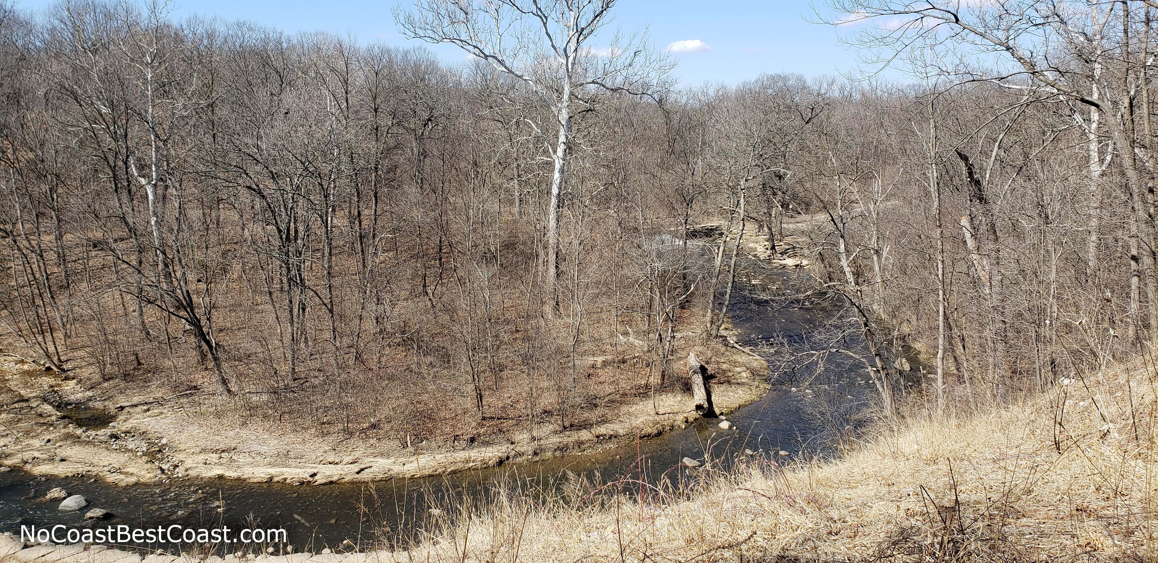 An oxbow in Sawmill Creek and the falls faintly visible between the trees