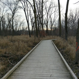 Much of the trail is on sturdy boardwalk like this