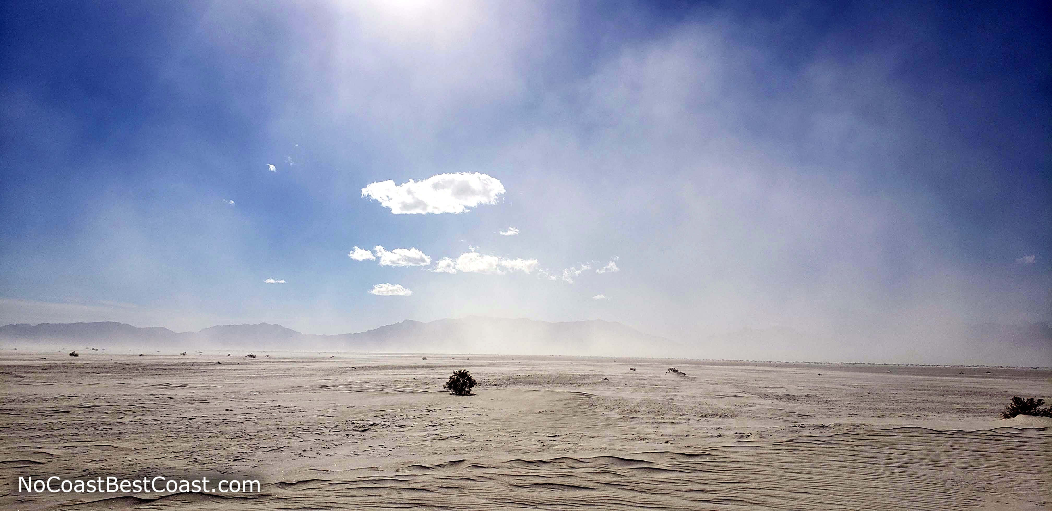 A lone shrub on the barren Alkali Flat with dust clouds obscuring the San Andres Mountains