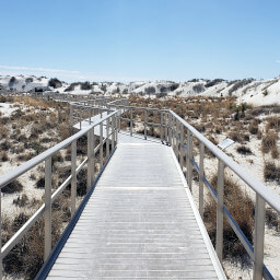 The wheelchair accessible boardwalk with dunes on either side