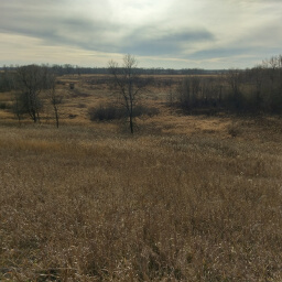 The view from the overlook extending across prairie