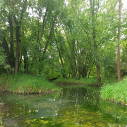 Algae filled pools are frequent on the River Trail