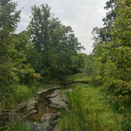 A short bridge crosses this pretty little creek