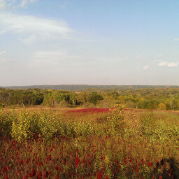 The stunning fall colors viewed from the Prairie Overlook