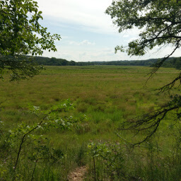 Viewing the empty lake from the trail