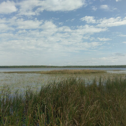 Looking across Wolf Lake